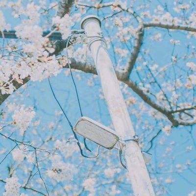 人在江湖2游戏(暂未上线)v1.1 安卓版